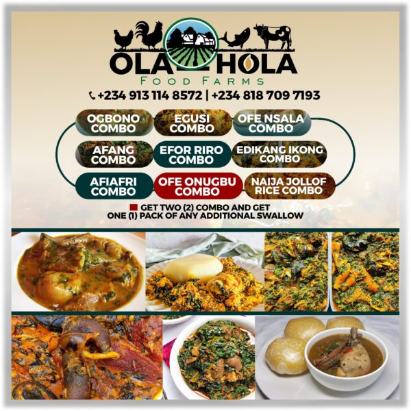 Amala-Abula Combo(Elubo Isu/Lanfu) - Image 5