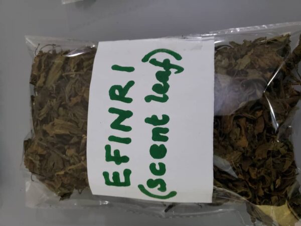 Editan (Hot Leaf) (Dehydrated Leafy Vegetables) - Image 3