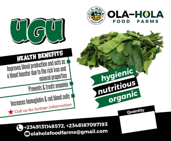 Edikang Ikong (Dehydrated Leafy Vegetables) - Image 2