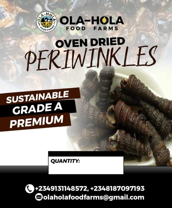 PERIWINKLES(Small ~0.25 kg) - Image 3