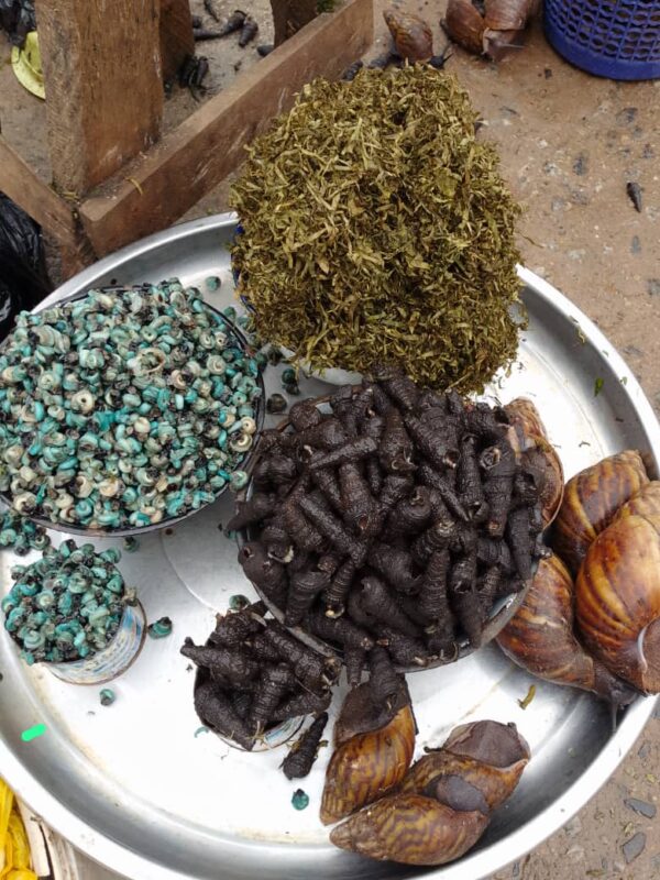 Editan (Hot Leaf) (Dehydrated Leafy Vegetables) - Image 4