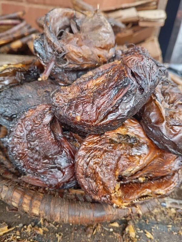 Fish Protein (Oven-dried, Assorted) - Image 6
