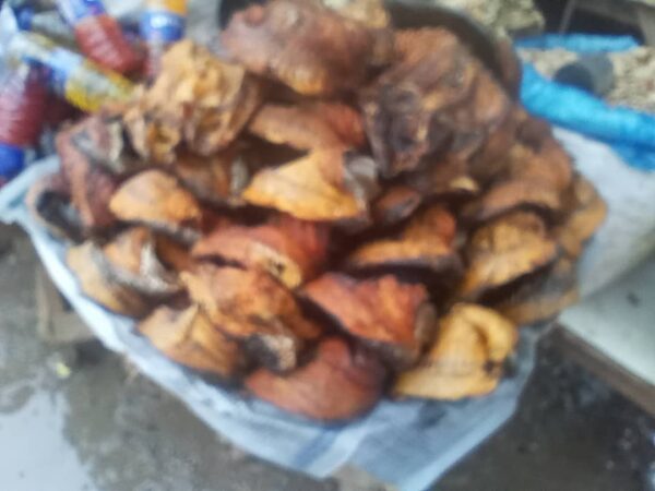 Fish Protein (Oven-dried, Assorted) - Image 7
