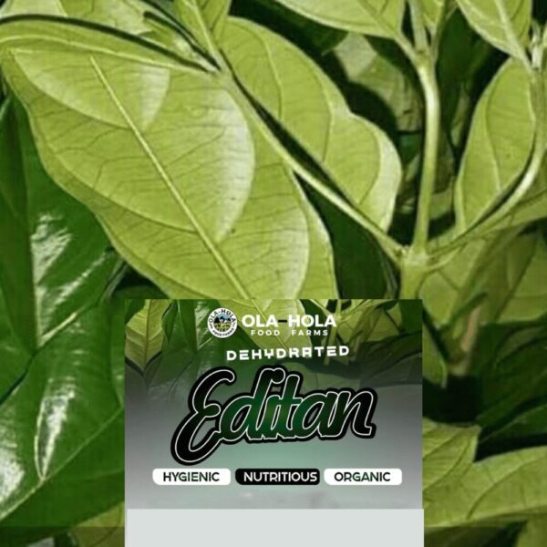 EFINRIN (Scent leaf) Vegetables - Image 3